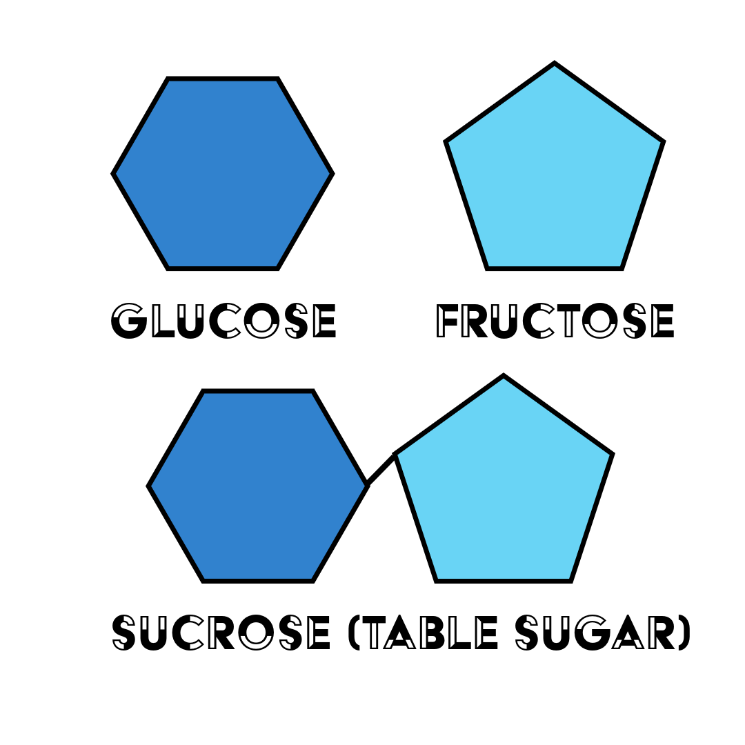 Types of Sugars