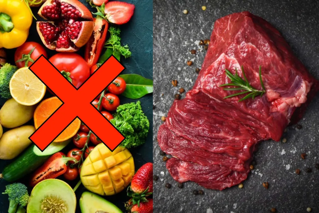 No vegetables on the carnivore diet